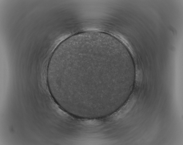 X0000113240385200910081302