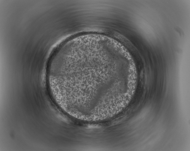X0000113240388200910081302