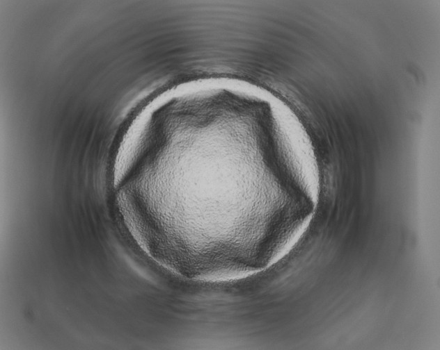 X0000113240390200910081302