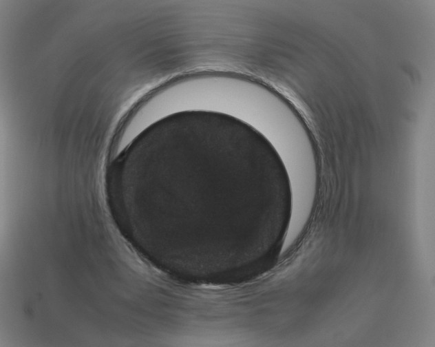 X0000113240391200910081302