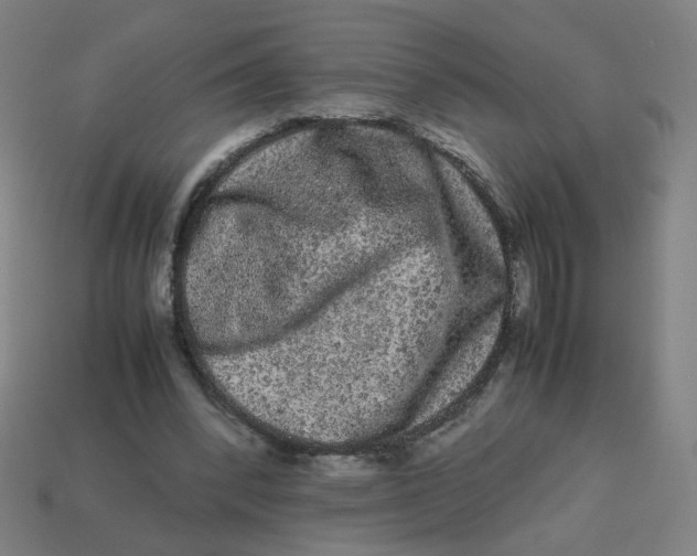 X0000113240392200910081302