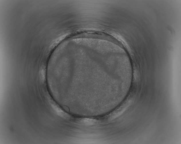 X0000113240393200910081302