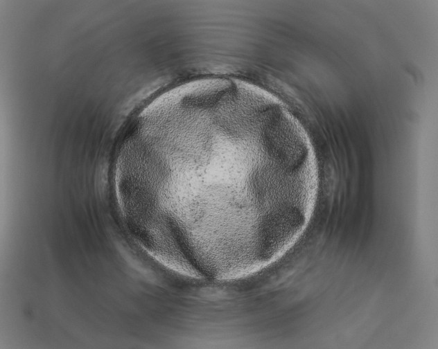 X0000113240394200910081302