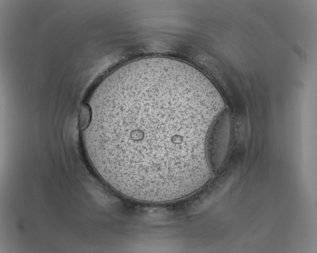 X0000113240395200910081302
