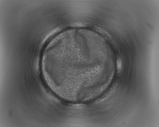 X0000113240396200910081302