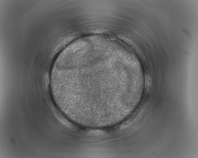 X0000113240397200910081302