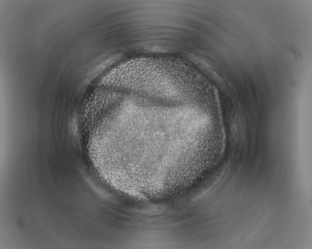 X0000113240398200910081302