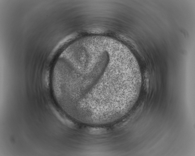 X0000113240400200910081302