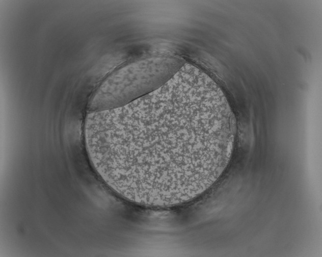 X0000113240401200910081302