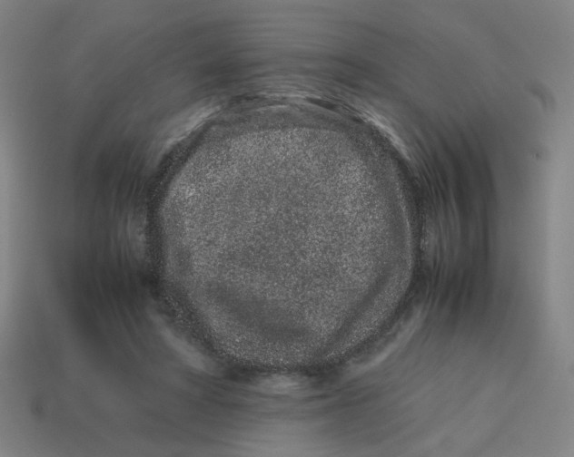 X0000113240402200910081302