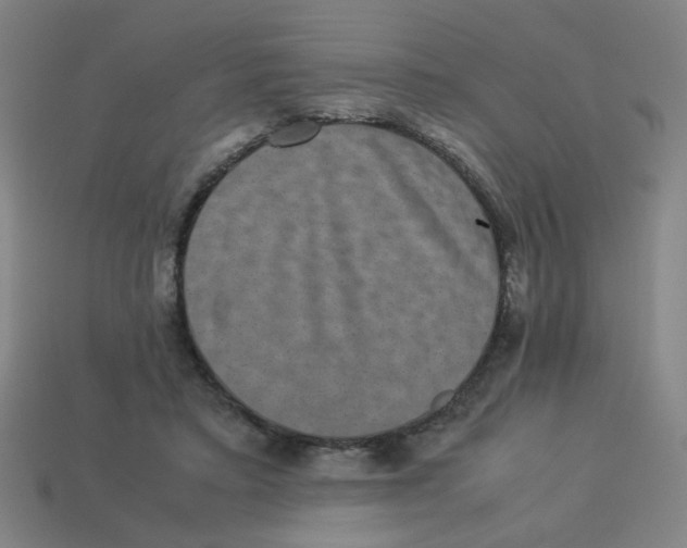 X0000113240403200910081302