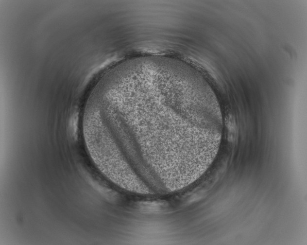X0000113240404200910081302
