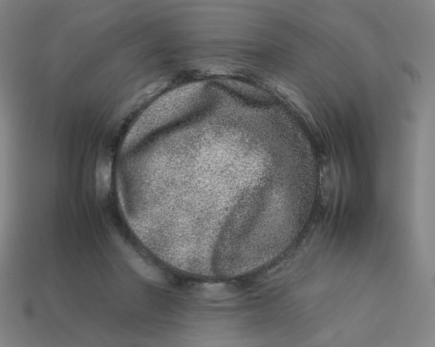 X0000113240406200910081302