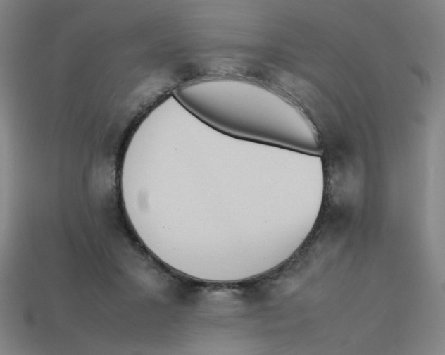 X0000113240407200910081302