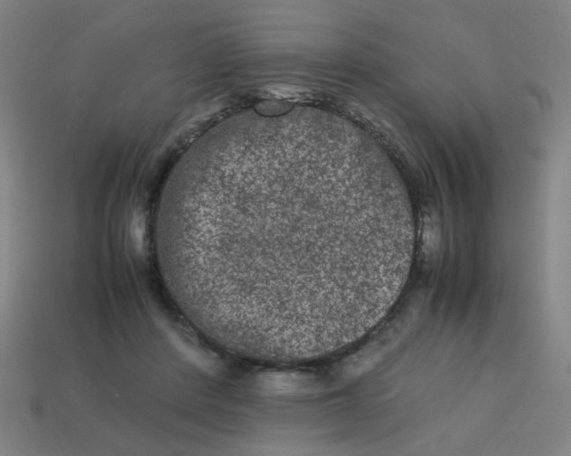X0000113240408200910081302