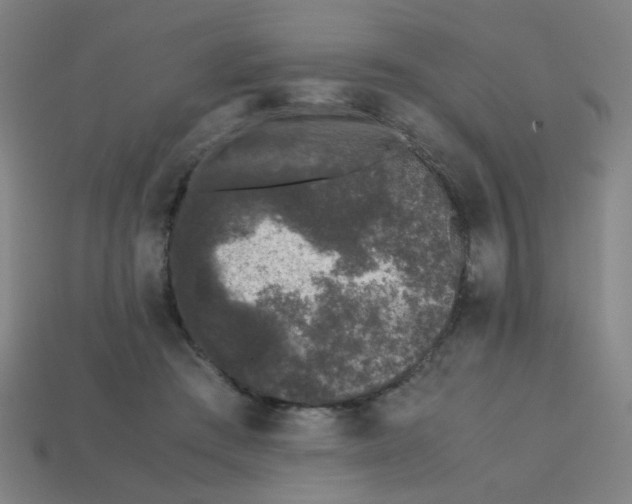 X0000113240409200910081302