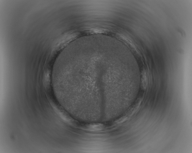 X0000113240410200910081302