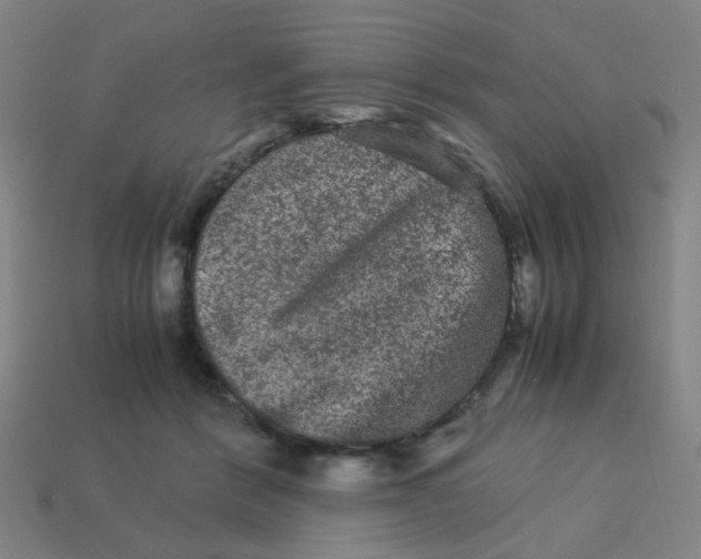 X0000113240412200910081302