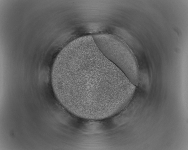 X0000113240413200910081302