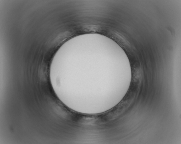 X0000113240414200910081302