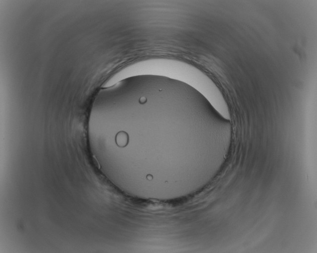 X0000113240415200910081302