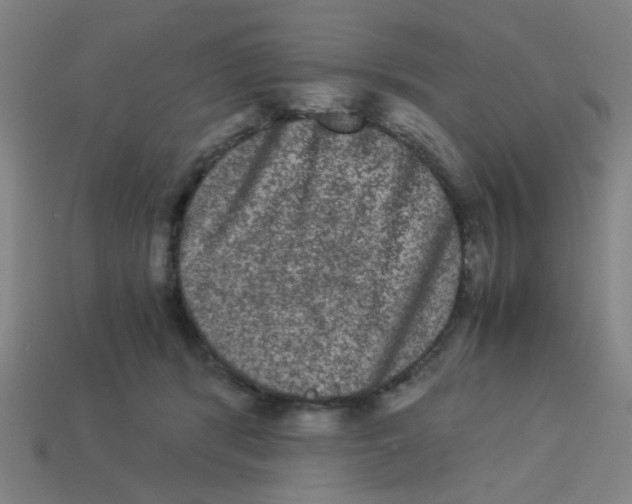 X0000113240416200910081302