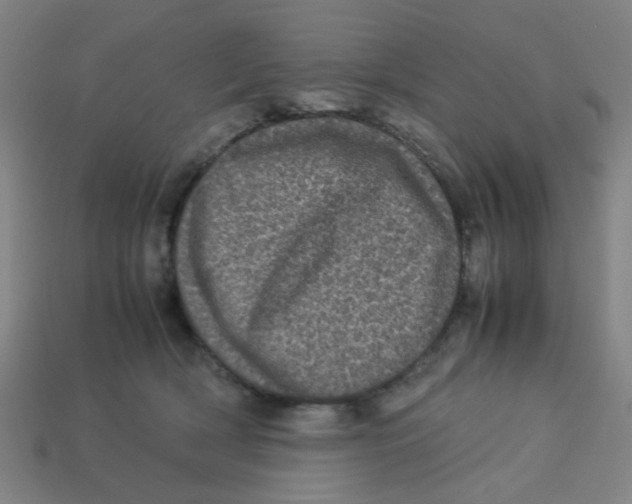 X0000113240418200910081302
