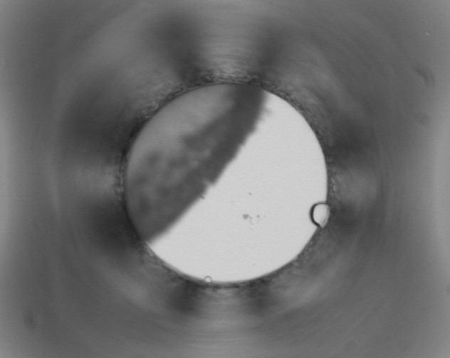 X0000113240419200910081302