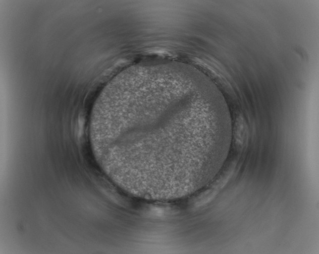 X0000113240420200910081302