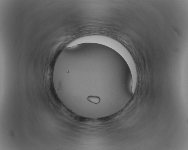 X0000113240423200910081302