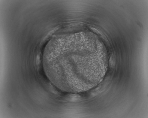 X0000113240424200910081302