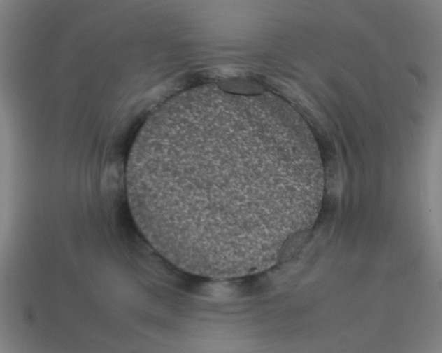 X0000113240425200910081302