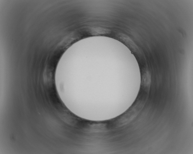 X0000113240426200910081302