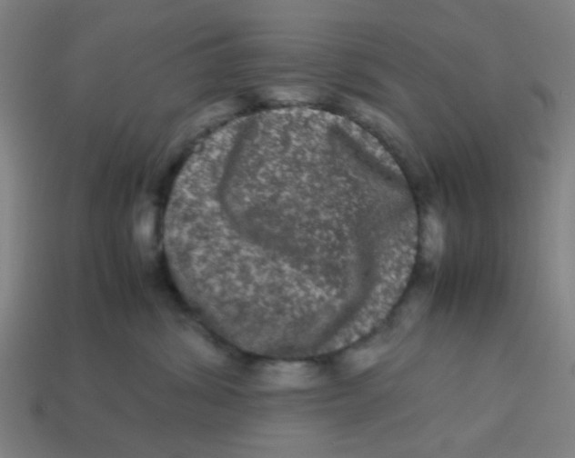 X0000113240428200910081302