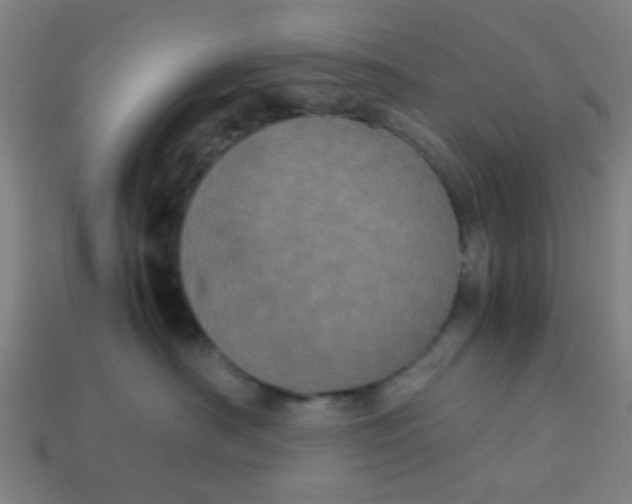 X0000113240430200910081302