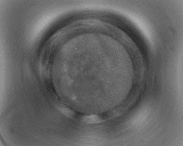 X0000113240431200910081302