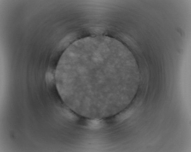 X0000113240432200910081302