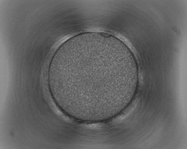 X0000113240433200910081301