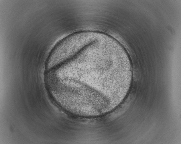 X0000113240434200910081301