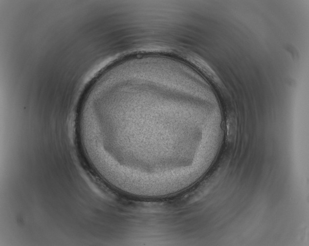 X0000113240436200910081301