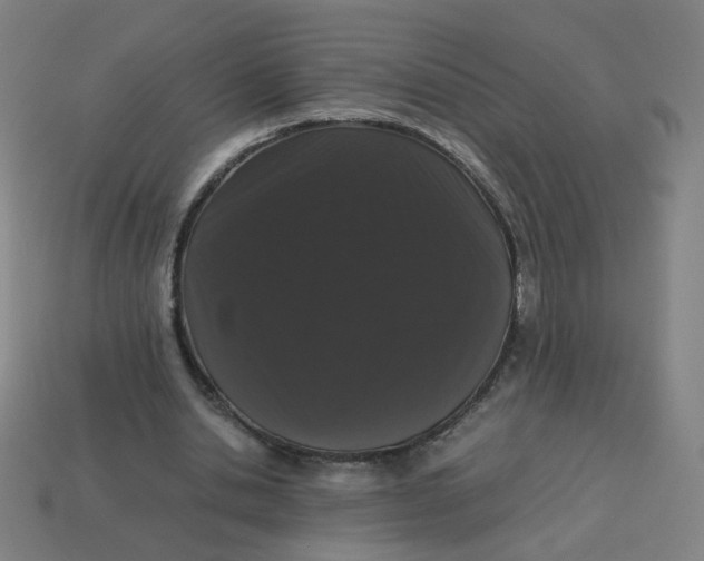 X0000113240438200910081301