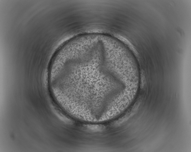 X0000113240439200910081301