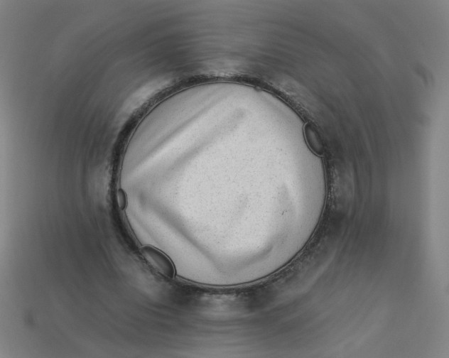X0000113240440200910081301