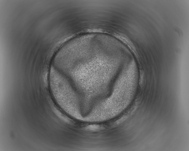 X0000113240441200910081301