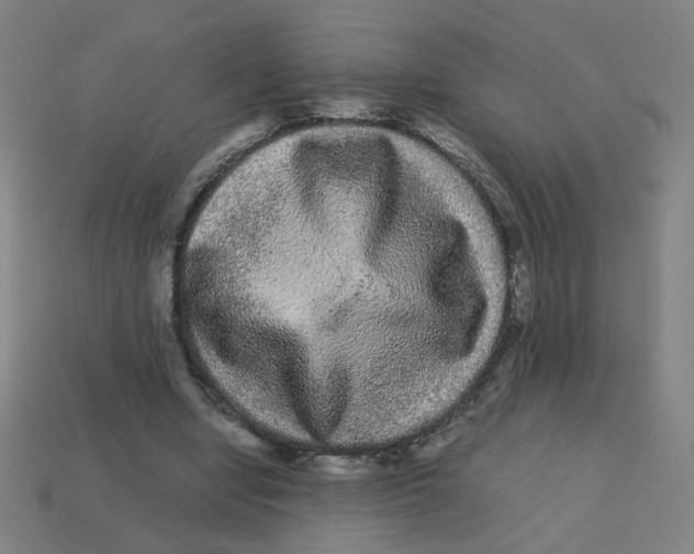 X0000113240442200910081301