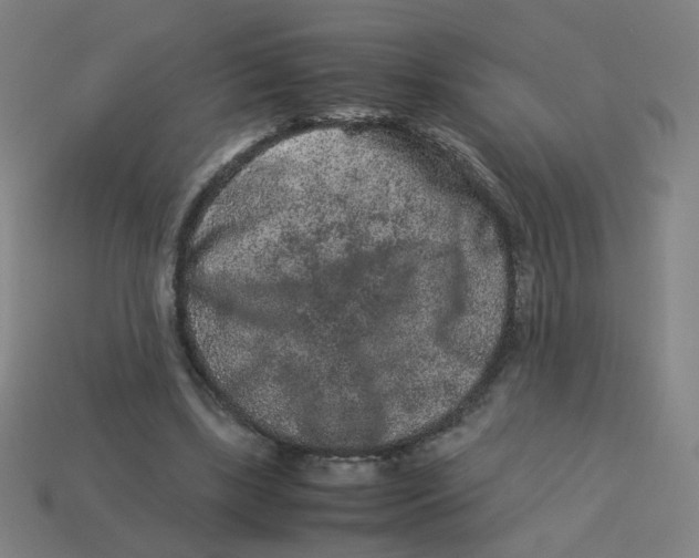 X0000113240443200910081301