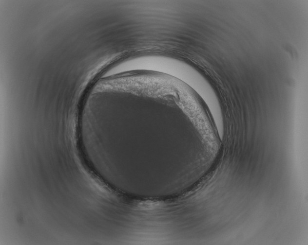 X0000113240444200910081301