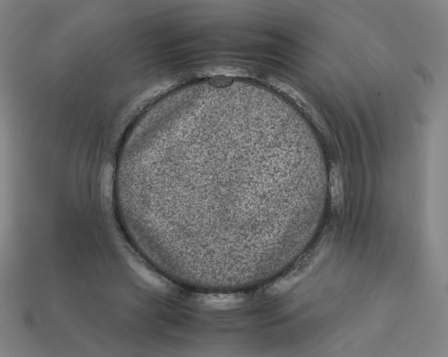 X0000113240445200910081301