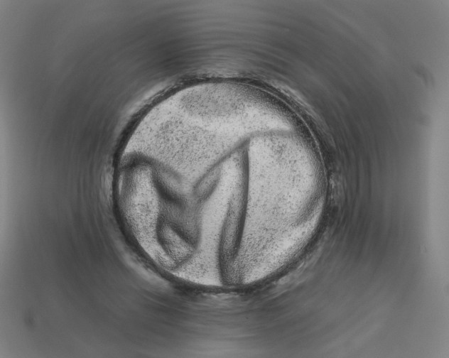 X0000113240446200910081301