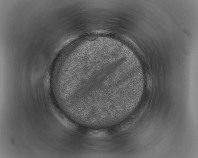 X0000113240447200910081301